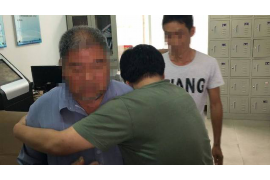 桂东债务清欠服务